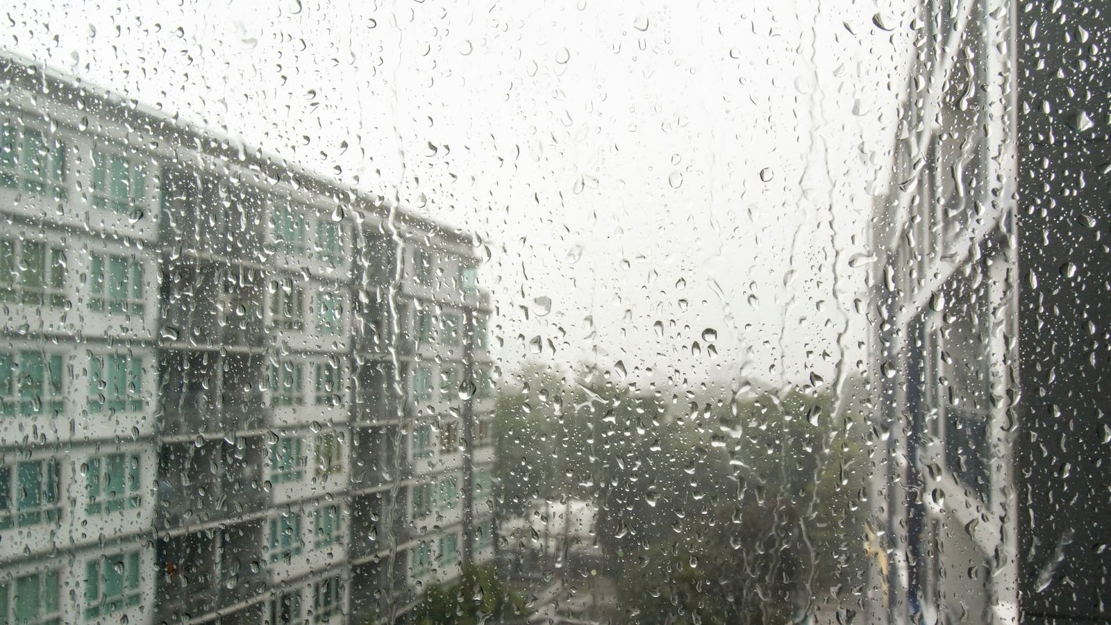 Cheias, Tempestades e Edifícios Quando a água testa os limites das fachadas