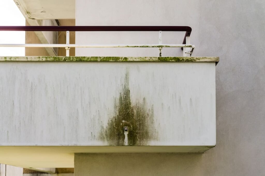 Intempéries no edificado desempenho dos revestimentos